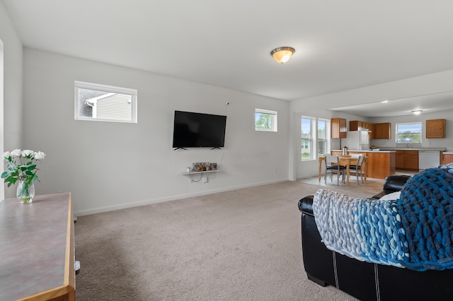 4143 Wild Meadow St, Kalamazoo, MI 49048 - living room with light carpet and baseboards