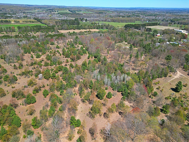 9616 Johnson Rd, Kaleva, MI 49645