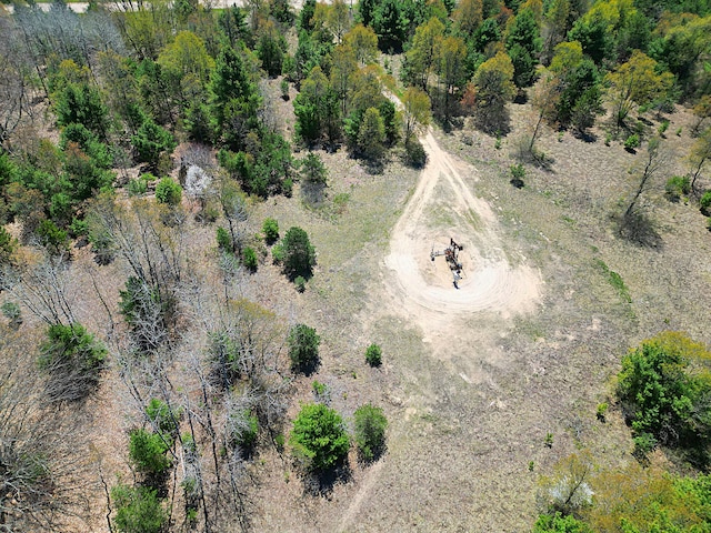 9616 Johnson Rd, Kaleva, MI 49645
