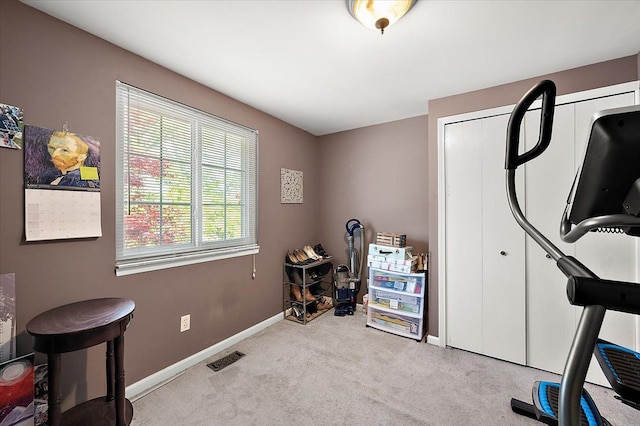 15672 Robert Dr, Macomb, MI 48044 - exercise room with healthy amount of natural light, carpet flooring, and baseboards