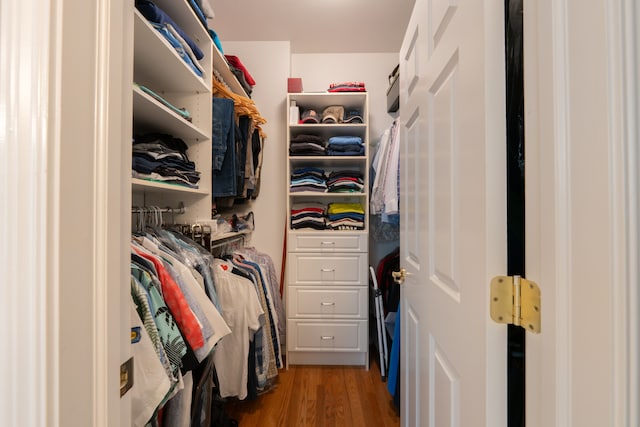 spacious closet featuring light wood-style flooring
