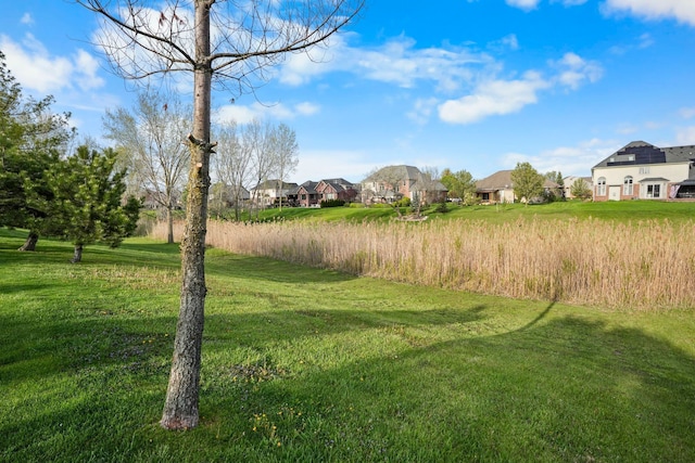 47352 Dove Ct, Shelby Twp, MI 48315 - view of grassy yard featuring a residential view