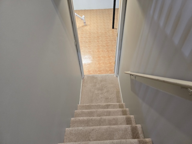 staircase with carpet floors