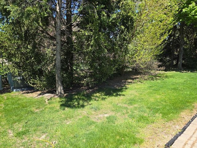 view of grassy yard