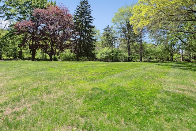 7317 Bircklan Dr, Canton, MI 48187 - view of green lawn