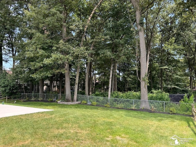 view of yard featuring a patio area