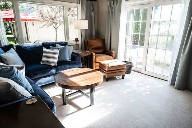 sitting room featuring carpet flooring