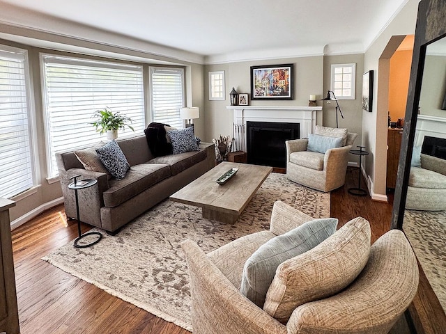 living area featuring a fireplace, ornamental molding, wood finished floors, and baseboards