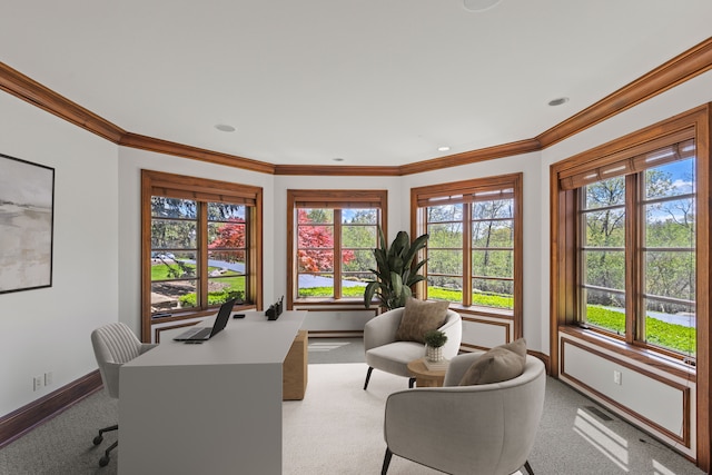office space with healthy amount of natural light, carpet floors, baseboards, and ornamental molding