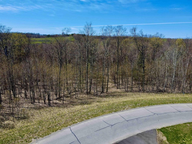 1927 N Blue Water Ct, Suttons Bay, MI 49682