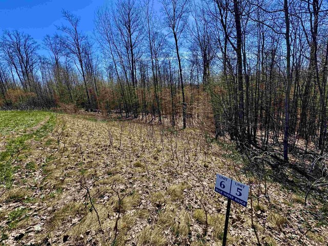 1927 N Blue Water Ct, Suttons Bay, MI 49682