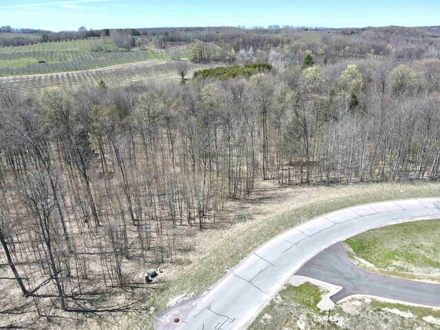 1927 N Blue Water Ct, Suttons Bay, MI 49682