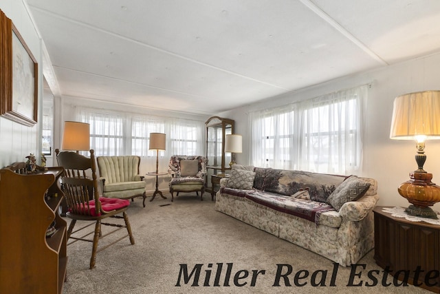 11811 Marsh Rd Unit 10, Shelbyville, MI 49344