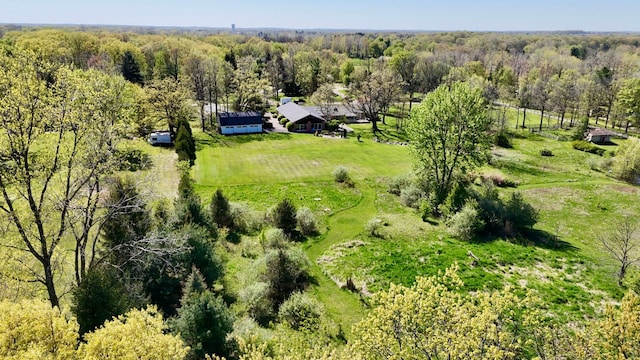 22340 Natasha Ln, South Lyon, MI 48178 - overview of rural landscape featuring a heavily wooded area