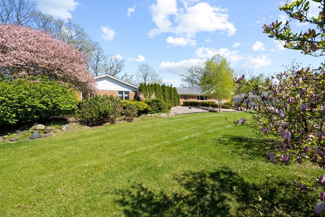 22340 Natasha Ln, South Lyon, MI 48178 - view of grassy yard