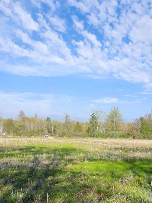 12694 Sheridan Rd, Burt, MI 48417