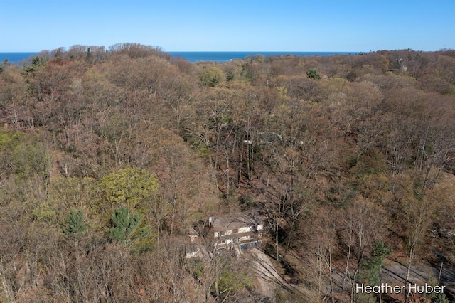 401 Stickney Ridge Rd, Grand Haven, MI 49417 - mountain view featuring a heavily wooded area and a large body of water