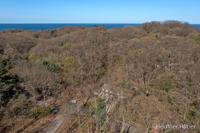 401 Stickney Ridge Rd, Grand Haven, MI 49417 - aerial view of a large body of water
