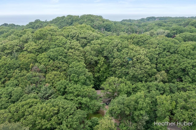 401 Stickney Ridge Rd, Grand Haven, MI 49417 - aerial view of property's location featuring a forest