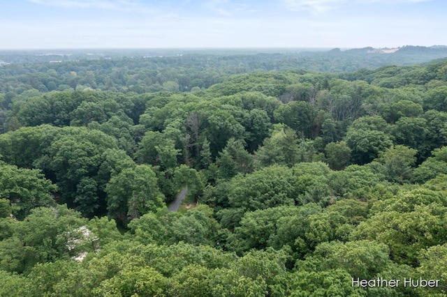401 Stickney Ridge Rd, Grand Haven, MI 49417 - aerial view of a forest