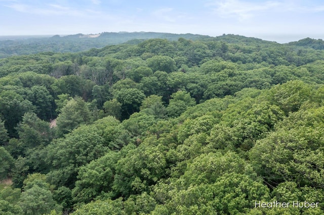 401 Stickney Ridge Rd, Grand Haven, MI 49417 - drone / aerial view of a forest