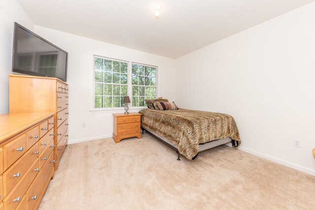 1090 Shetland Dr, South Lyon, MI 48178 - bedroom featuring baseboards and light carpet