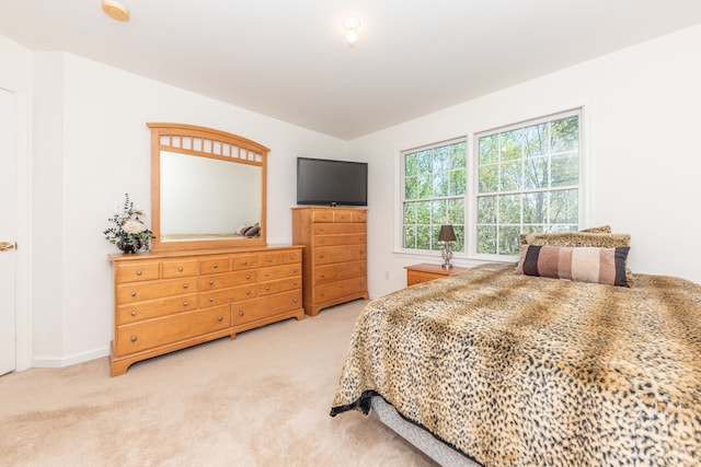 1090 Shetland Dr, South Lyon, MI 48178 - bedroom with carpet flooring and baseboards