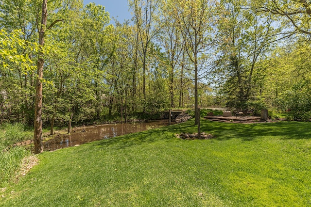 1090 Shetland Dr, South Lyon, MI 48178 - view of green lawn featuring a water view