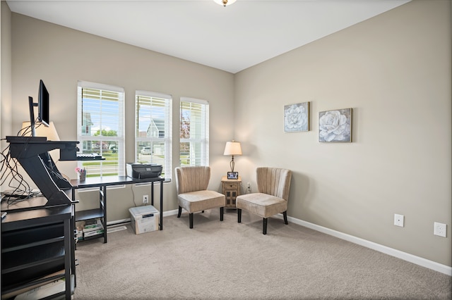 7051 Wildflower, Grand Blanc, MI 48439 - living area featuring carpet and baseboards