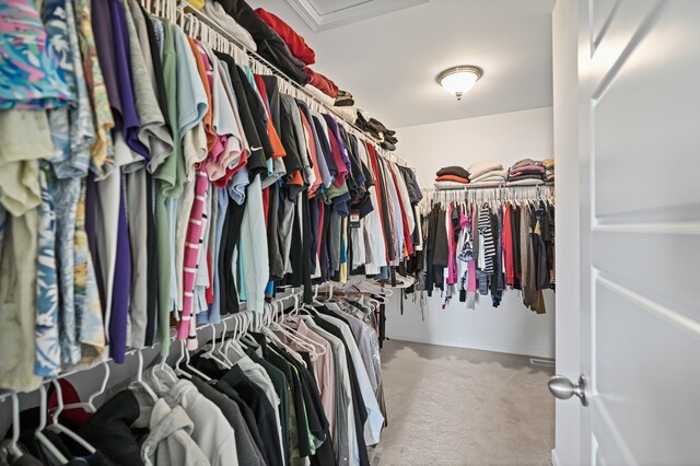 7051 Wildflower, Grand Blanc, MI 48439 - walk in closet with carpet and attic access