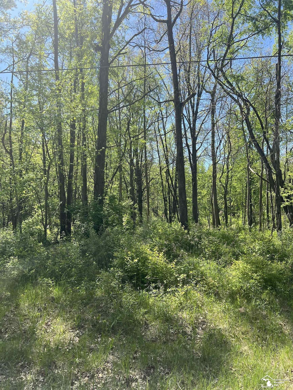 0 W Dunbar Rd, Dundee, MI 48131