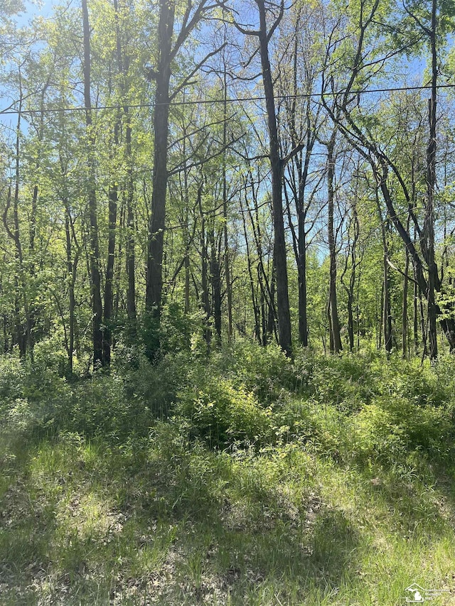 0 W Dunbar Rd, Dundee, MI 48131