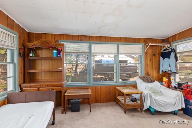 bedroom with wooden walls and carpet