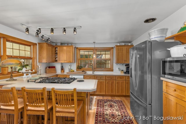 1017 Pearl St, Belding, MI 48809 - kitchen featuring stainless steel appliances, light countertops, a breakfast bar area, light wood-style flooring, and a peninsula