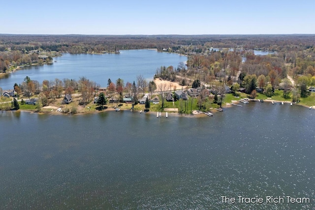 7964 W Royal Rd, Stanwood, MI 49346 - view of property location featuring a nearby body of water and a forest