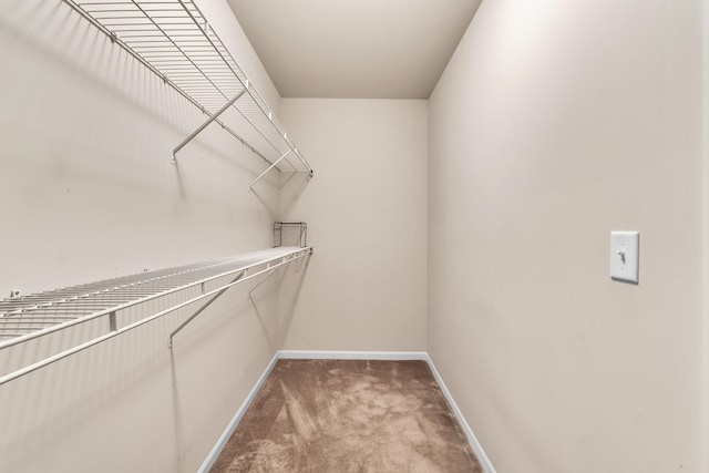 spacious closet featuring light colored carpet