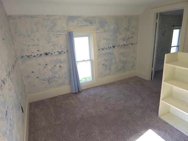 120 S Mackinaw St, Waldron, MI 49288 - carpeted spare room featuring plenty of natural light
