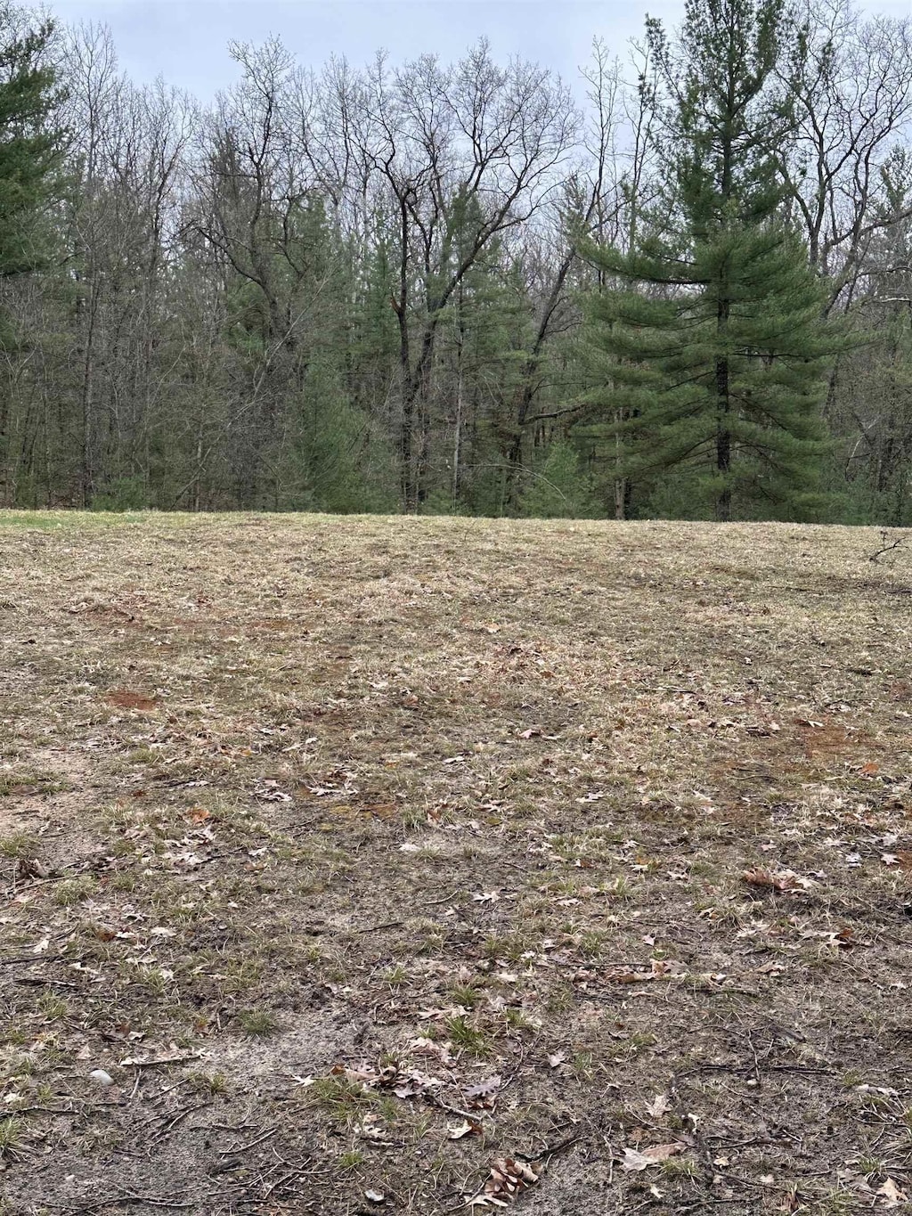 VL Pineview Court, Alger, MI 48610