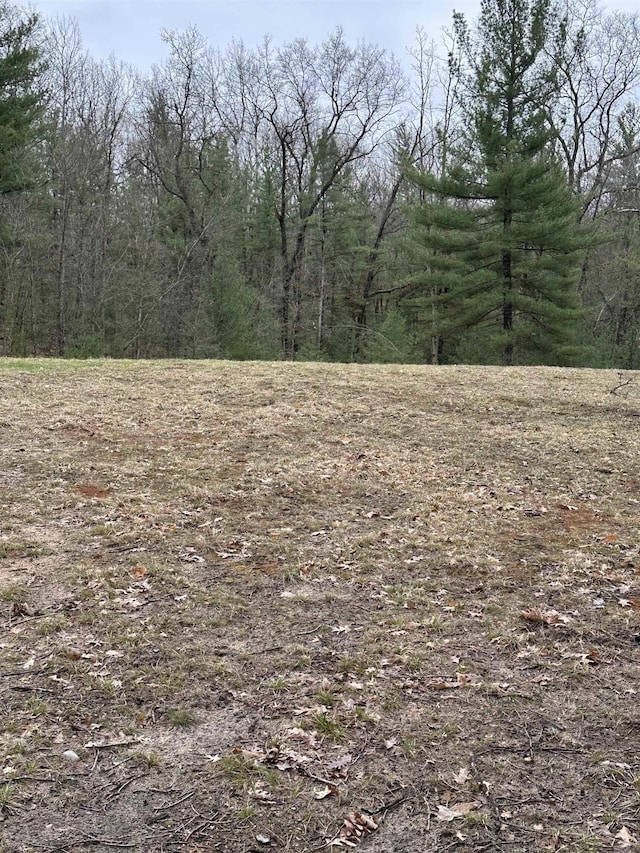 VL Pineview Court, Alger, MI 48610