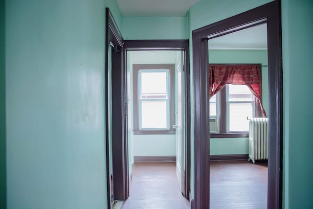 hall with radiator, wood finished floors, and plenty of natural light