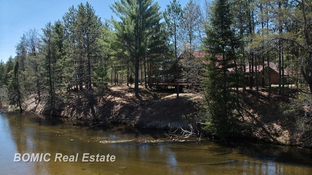 940 Wood River Rd, Grayling, MI 49738 - water view