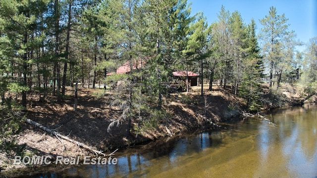 940 Wood River Rd, Grayling, MI 49738 - water view