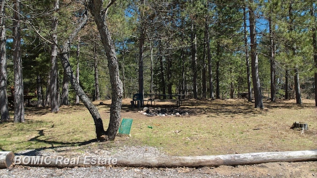 940 Wood River Rd, Grayling, MI 49738 - view of yard with a view of trees
