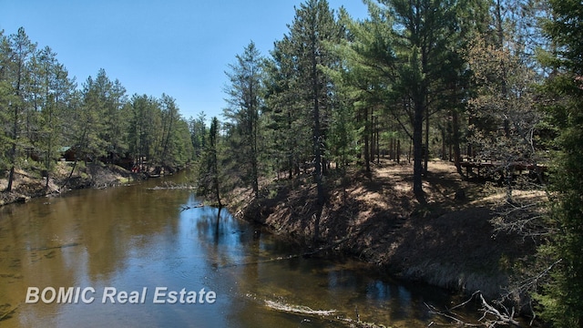 940 Wood River Rd, Grayling, MI 49738 - water view