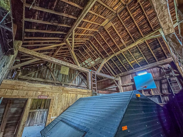 miscellaneous room with lofted ceiling
