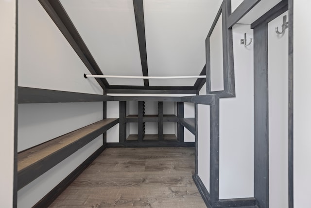 spacious closet featuring wood finished floors