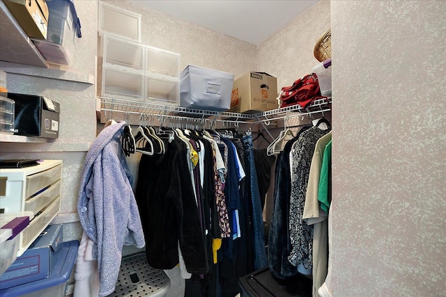 25455 Buckminster Dr, Novi, MI 48375 - view of spacious closet