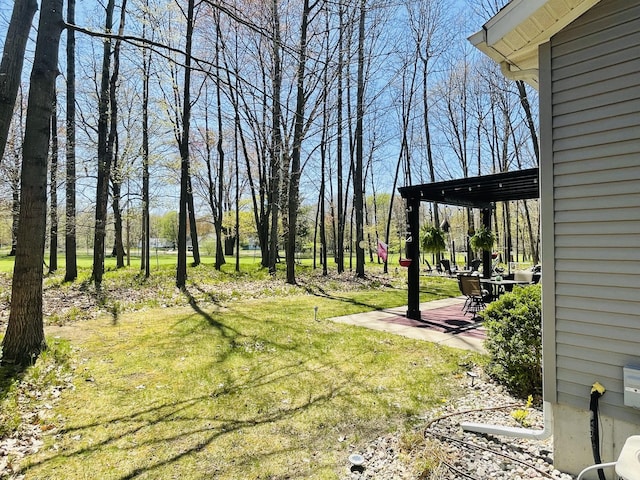 9612 Clubhouse Dr W, Canadian Lakes, MI 49346 - view of grassy yard featuring a patio area