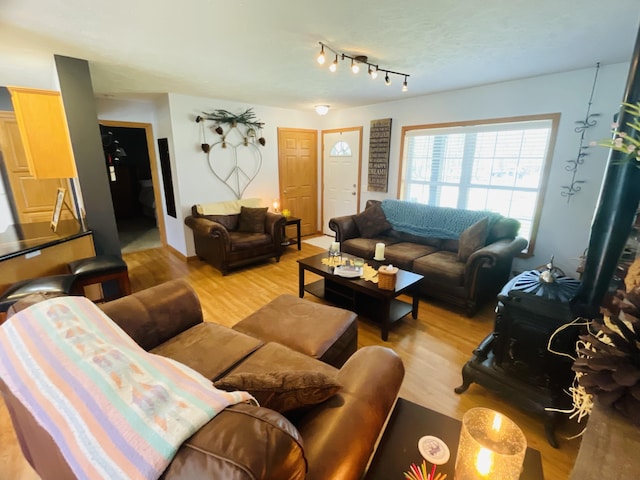 9612 Clubhouse Dr W, Canadian Lakes, MI 49346 - living room featuring wood finished floors