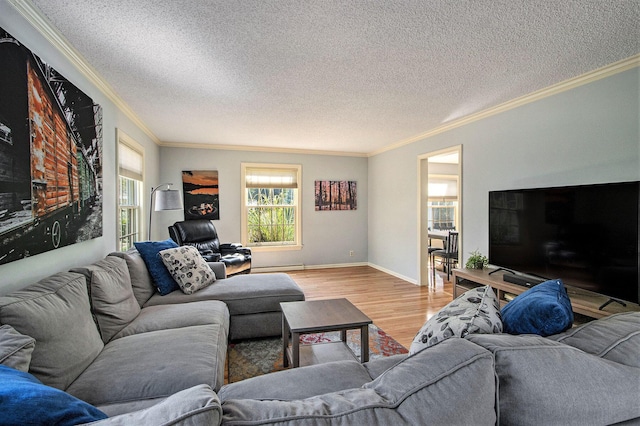 2021 Skyler Dr, Kalamazoo, MI 49008 - living area with ornamental molding, wood finished floors, a textured ceiling, and baseboards